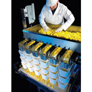 Peseuse associative linéaire CCW-R2-106B-S/15-WP-BE