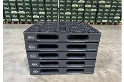 Schoeller Allibert développe des palettes en plastique recyclée pour la brasserie Grolsch