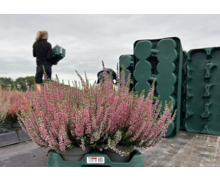 Euro Plant Tray adopte les étiquettes RFID IML d’inotec pour optimiser sa traçabilité et sa logistique